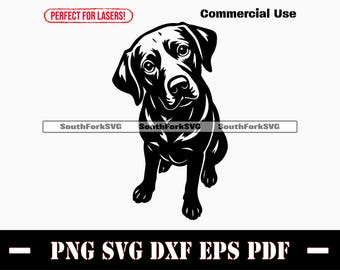 Black Labrador Retriever Begging svg png dxf eps pdf | vector graphic stencil cut file laser clip art print digital download commercial use