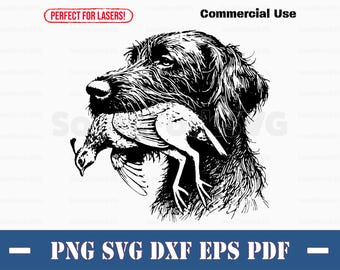 Braco alemán de pelo duro, perro de caza de codornices, svg, png, dxf, eps, pdf/archivo de corte vectorial, clip art láser, descarga instantánea, uso comercial