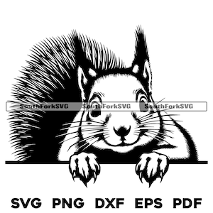 Fichiers de conception écureuil furtif svg png dxf eps pdf | Conception graphique vectorielle découpée, impression, teinture, sous, gravure laser, cnc, fichiers numériques, utilisation commerciale