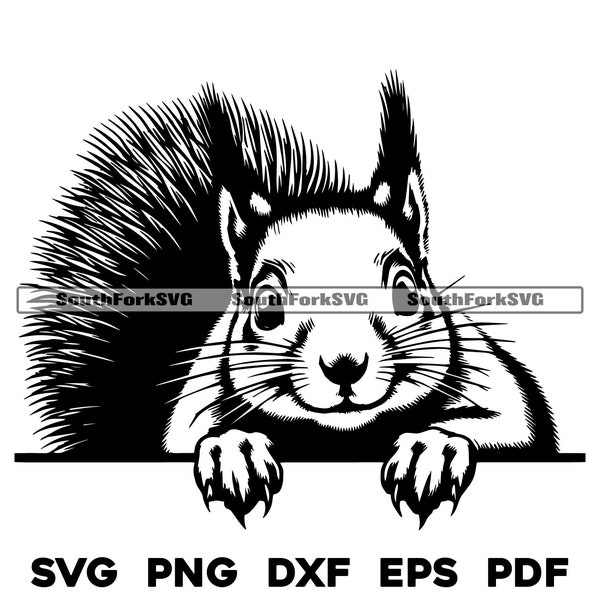 Peeking Squirrel Design Files svg png dxf eps pdf | vector graphic design cut print dye sub laser engrave cnc digital files commercial use