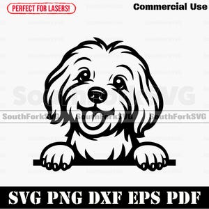 Peeking Maltese Dog svg png dxf eps pdf | vector graphic cut file laser clip art instant digital download commercial use