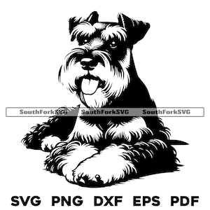 Dwergschnauzer hond leggen ontwerp svg png dxf eps pdf | vectorafbeelding snijbestand laserclipart | direct digitaal downloaden voor commercieel gebruik