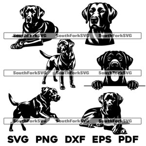 Labrador Retriever Hund Designs Bundle svg png dxf eps pdf | Vektorgrafik Schnittdatei Laser Clip Art Sofortdownload Kommerziell nutzbar