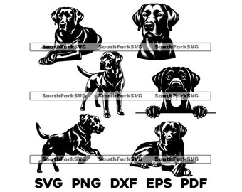 Black Lab Labrador Retriever Dog Designs Bundle svg png dxf eps pdf | vector graphic cut file laser clip art instant download commercial use