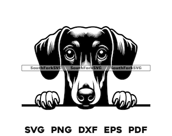 Peeking Dachshund Weiner Dog Head Design svg png dxf eps pdf vector graphic cut file laser clip art instant digital download commercial use
