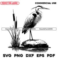 AMERICAN BULLFROG SVG, Amphibian Bullfrog Svg Files for Cricut, Pond ...