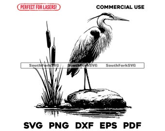 Great Blue Heron Laser Engrave Files svg png dxf eps pdf | vector graphic design cut print dye sub digital files commercial use
