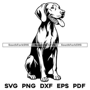 Vizsla Dog Sitting Design / svg png dxf eps pdf / vector gráfico corte archivo láser clip art / descarga digital instantánea uso comercial