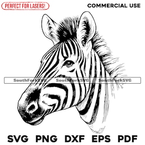 Puede incluir: Ilustración en blanco y negro de línea de arte de la cabeza de una cebra. La cebra está mirando hacia la izquierda. La cebra tiene un patrón de rayas en su cara y cuello.