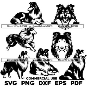 Collie Bundle svg png dxf eps pdf | vector graphic cut file laser clip art | instant digital download commercial use