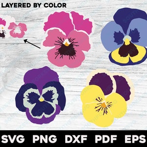 Bundle de fleurs de pensées svg png dxf eps pdf superposés par couleur fichier coupé Silhouette Design floral Illustration botanique pensées plantes de jardin