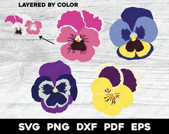 Pansies Flower Bundle svg png dxf eps pdf Layered by Color Cut File Silhouette Floral Design Botanical Illustration Pansy Garden Plants