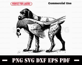 Braco alemán de pelo duro, perro de caza de faisán / svg png dxf eps pdf / archivo de corte vectorial, clip art láser, descarga instantánea, uso comercial