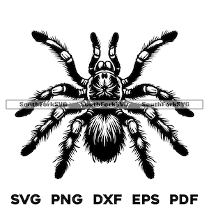 Tarantula Spider svg png dxf eps pdf / diseño de gráficos vectoriales corte impresión tinte sub láser grabar archivos digitales uso comercial