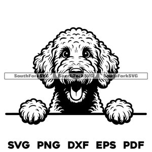 Goldendoodle Hund svg png dxf eps pdf | Vektorgrafik Datei Laser Clip Art schneiden | sofortiger digitaler Download kommerzielle Nutzung
