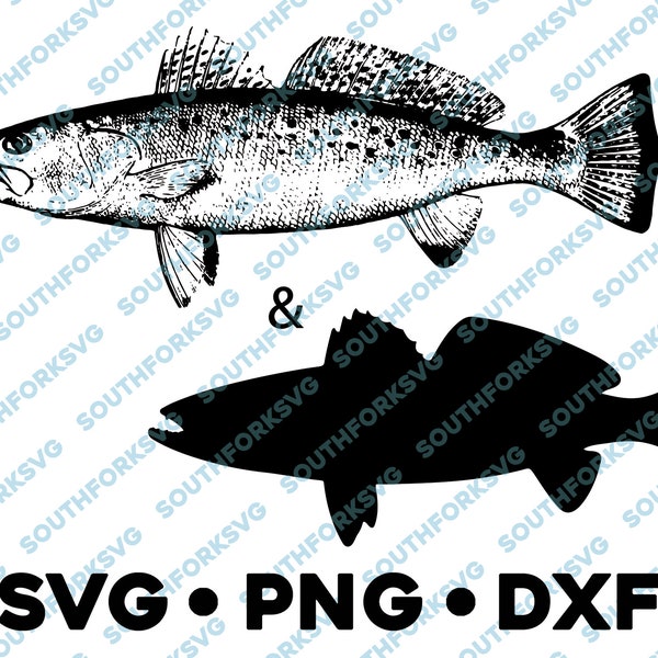 Spotted Sea Trout Speckled Weakfish SVG PNG DXF vector transparent  cameo silhouette cut file saltwater fishing ocean clip dye sub sea