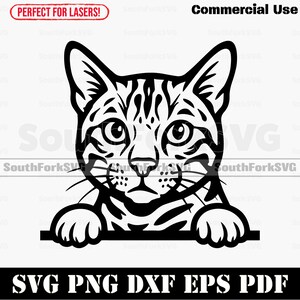 Peeking Bengal Cat svg png dxf eps pdf | vector graphic cut print laser clip art | instant digital download commercial use