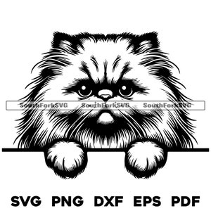 Illustration vectorielle de tête de chat persan | svg png dxf eps pdf | Illustration vectorielle découpée, impression, teinture, gravure au laser, fichier numérique, utilisation commerciale
