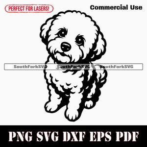 Bichon Frisé bedelen svg png dxf eps pdf | vectorafbeelding stencil gesneden bestand laser clip art print digitale download commercieel gebruik