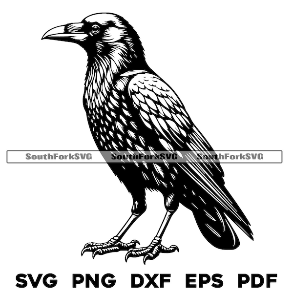 Standing Crow Bird Design | svg png dxf eps pdf | vector graphic cut file laser clip art | instant digital download commercial use