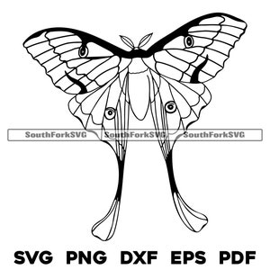 Luna Motte Umriss | svg png dxf eps pdf | transparente Vektorgrafik Design Cut Print Dye sub Laser graviert Dateien Kommerzielle Nutzung