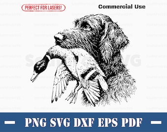 Braco alemán de pelo duro, perro de caza de patos, svg, png, dxf, eps, pdf/archivo de corte vectorial, clip art láser, descarga instantánea, uso comercial