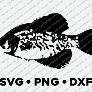Crappie Blanco Negro Bass Sunfish SVG PNG DXF vector transparente cameo silueta corte archivo vinilo calcomanía pesca al aire libre naturaleza animal