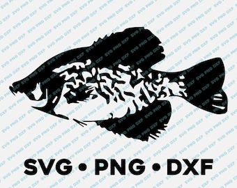 Crappie White Black Bass Sunfish SVG PNG DXF vector transparent  cameo silhouette cut file vinyl decal fishing outdoors nature animal