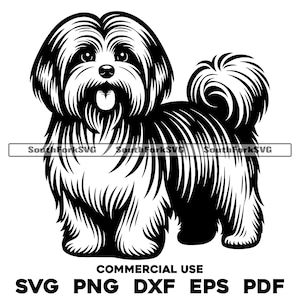 Havaneser Hund stehend Design | svg png dxf eps pdf | Vektorgrafik Datei Laser Clip Art schneiden | sofortiger digitaler Download kommerzielle Nutzung