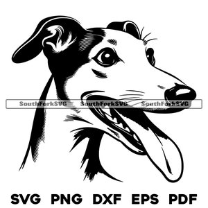 Levriero italiano cane testa Design / svg png dxf eps pdf / grafica vettoriale tagliata file laser clip art / download digitale istantaneo uso commerciale