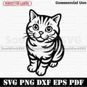 British Shorthair Cat Begging svg png dxf eps pdf | vector graphic cut print laser clip art | instant digital download commercial use
