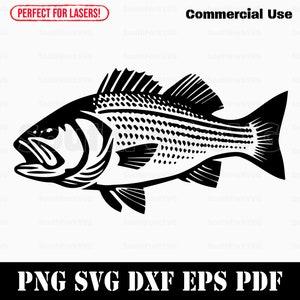 Striped Bass Striper  svg png dxf eps pdf | transparent vector graphic design cut print dye sub laser engrave files commercial use