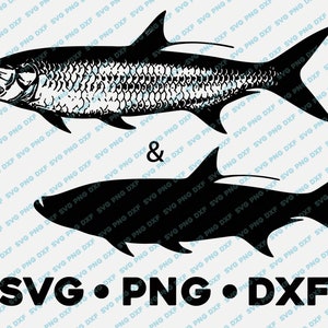 Tarpon SVG PNG DXF file di taglio sagoma cameo trasparente vettoriale dicendo htv vinile decalcomania pesca caccia all'aperto natura animale