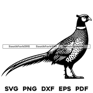 Stehender Fasan Design 1 svg png dxf eps pdf | Vektorgrafik Design Cut Print Dye sub Laser gravieren Cnc digitale Dateien Kommerzielle Nutzung