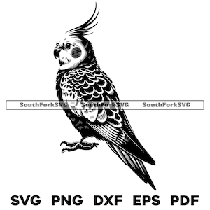 Cockatiel Bird Design / svg png dxf eps pdf / grafica vettoriale tagliata file laser clip art / download digitale istantaneo uso commerciale