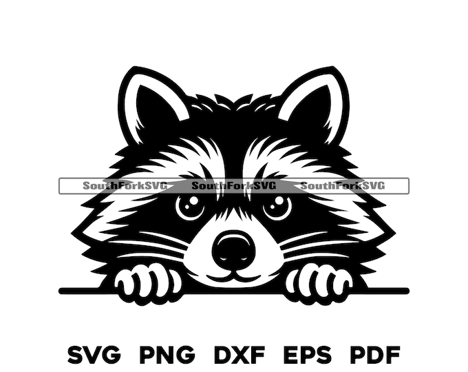 Funny Raccoon Png Bundle | Raccoon Png Designs for Shirts | Raccoon ...