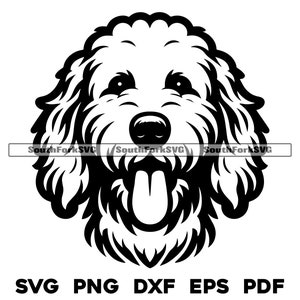 Goldendoodle Hundekopf Design | svg png dxf eps pdf | Vektorgrafik Datei Laser Clip Art schneiden | sofortiger digitaler Download kommerzielle Nutzung
