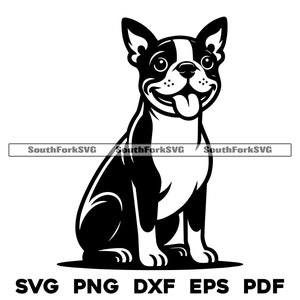 Boston Terrier Dog Sitting Design | svg png dxf eps pdf | vector graphic cut file laser clip art | instant digital download commercial use