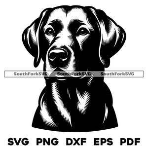 Ontwerp labrador retriever | svg png dxf eps pdf | vectorafbeelding snijbestand laserclipart | direct digitaal downloaden voor commercieel gebruik