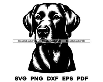 Labrador Retriever Dog Head Design | svg png dxf eps pdf | vector graphic cut file laser clip art | instant digital download commercial use