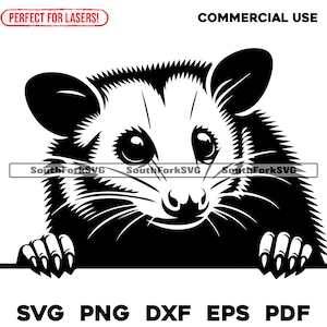 Cabeça de gambá espreitando | svg png dxf eps pdf | arquivo de corte de gráfico vetorial a laser clip art | download digital instantâneo uso comercial