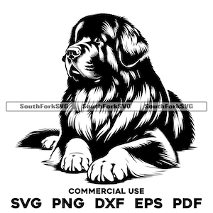 Ontwerp Newfoundland-hond met gekruiste poten | svg png dxf eps pdf | vectorafbeelding snijbestand laserclipart | digitale download commercieel gebruik