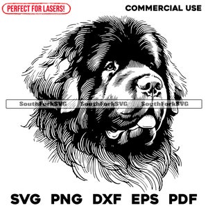 Neufundländer Portrait svg png dxf eps pdf | Vektorgrafik Datei Laser Clip Art schneiden | sofortiger digitaler Download kommerzielle Nutzung