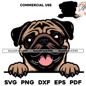 Gluren Mopshond gelaagd op kleur svg png dxf eps pdf | vectorafbeelding snijbestand laserclipart | direct digitaal downloaden voor commercieel gebruik