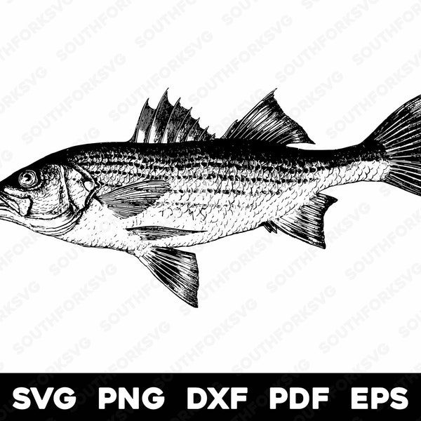 Vintage Distressed Striped Bass Design | svg png dxf eps pdf | vector graphic design cut print dye sub laser engrave cnc digital files