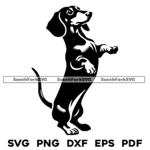 Dackel Weiner Hund im Stehen | svg png dxf eps pdf Vektorgrafik Schnittdatei Laser Clip Art | sofortiger digitaler Download kommerzielle Nutzung