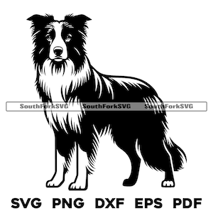 Chien Border Collie debout | svg png dxf eps pdf | graphique vectoriel découpé fichier laser clip art | Téléchargement numérique instantané, utilisation commerciale