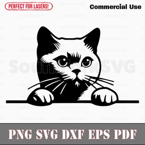 Chat Chartreux Peeking Design svg png dxf eps pdf | graphique vectoriel découpé fichier laser clip art | Téléchargement numérique instantané, utilisation commerciale