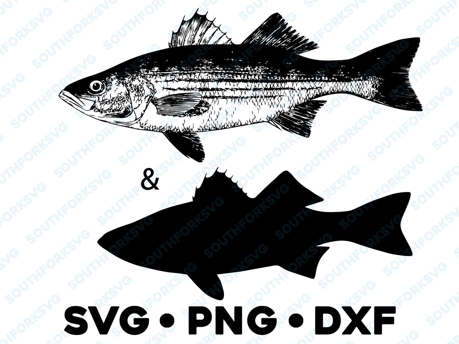 Striped Bass Striper Fish SVG PNG DXF Transparent Graphic Etsy