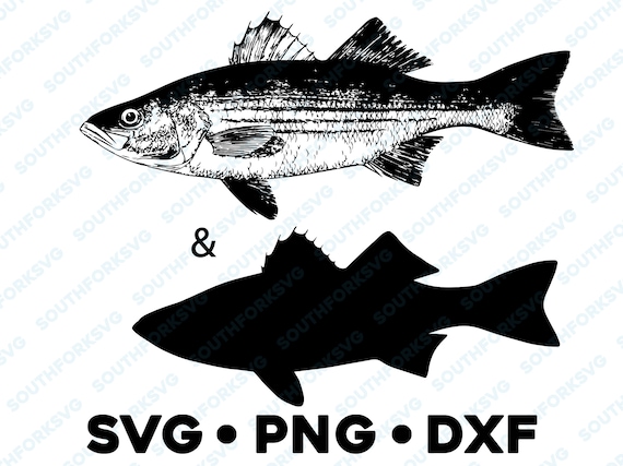 Striped Bass Striper Fish SVG PNG DXF Transparent Graphic Design Image  Silhouette Cut File Fly Fishing Hunting Outdoors Animals -  Canada
